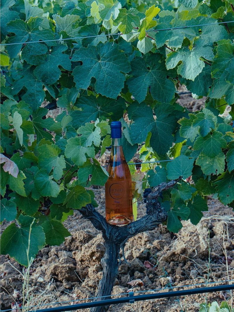 Hossio Rosé 2024 | Limited Edition - Hossio Wines | Boutique Portuguese Rosé